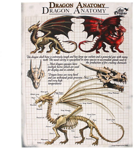 Dragon Size Chart