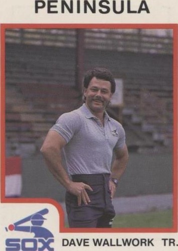 1987 ProCards Minor League - Dave Wallwork #1889