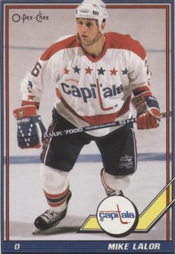 1991-92 O-Pee-Chee - Mike Lalor #483