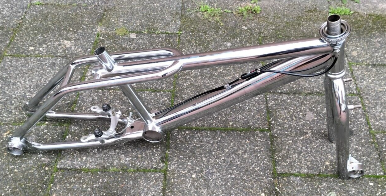 FISHBONE BIG ASS 1995 classic RARE 20 INCH FREESTYLE frame