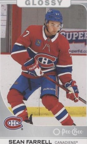 2023-24 Upper Deck Series 2 - Sean Farrell #R-39