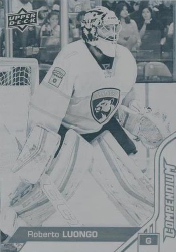 2016-17 Upper Deck Compendium - Roberto Luongo #409