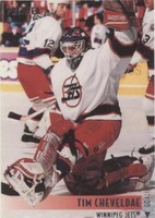 1994-95 O-Pee-Chee Premier - Tim Cheveldae #502