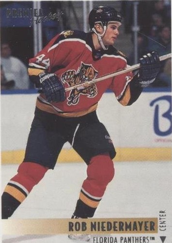 1994-95 O-Pee-Chee Premier - Rob Niedermayer #306