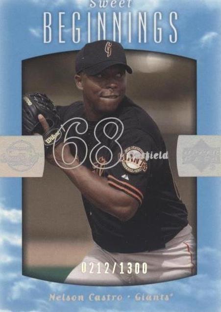 2002 Upper Deck Sweet Spot - Nelson Castro #107