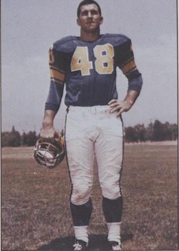 1981 TCMA Greats Les Richter #37