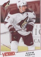 2008-09 Upper Deck Victory - Radim Vrbata #48