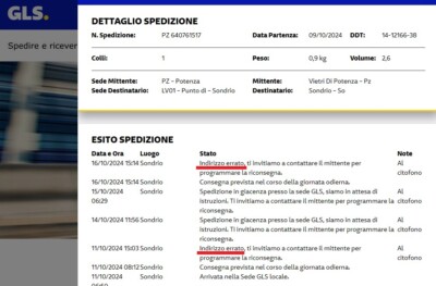 Foto dell'oggetto di un acquirente verificato