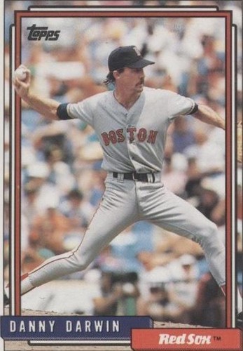1992 Topps - Danny Darwin #324