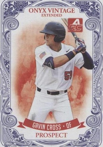 2021 Onyx Vintage Extended - Gavin Cross #VEGC
