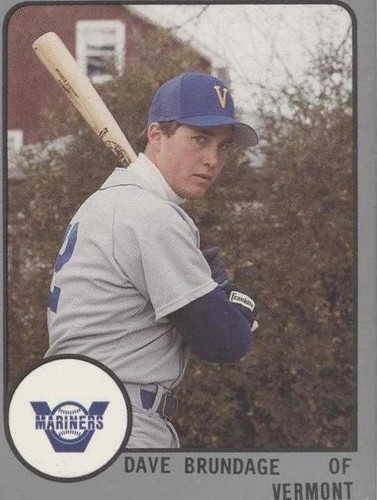 1988 ProCards Minor League - Dave Brundage #951