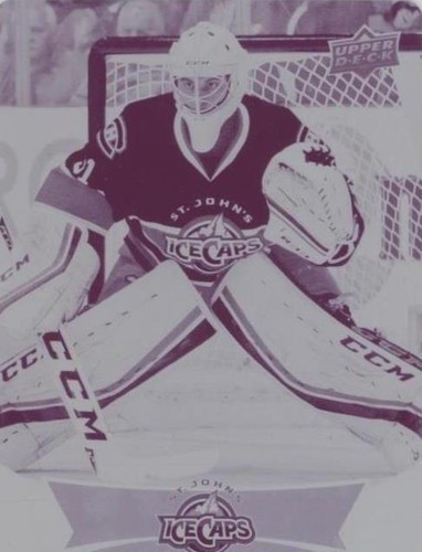 2016-17 Upper Deck AHL - Zachary Fucale #108