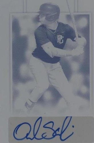 2019 Leaf Perfect Game National Showcase - Orlando Salinas #BA-OS1