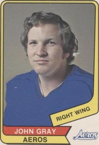 1976-77 O-Pee-Chee WHA - John Gray #25