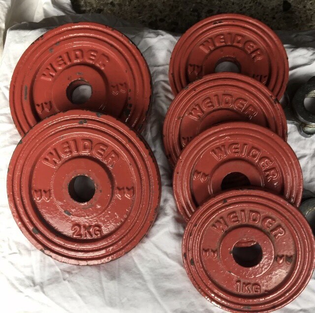 Weider plates weights 8kgs in total in Brentwood, Essex Gumtree