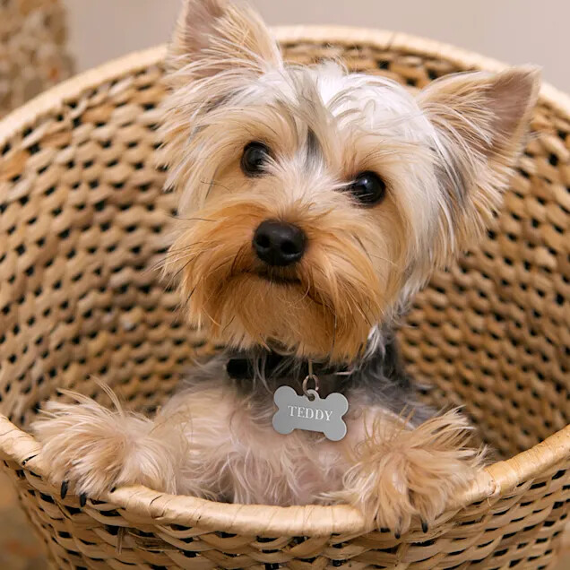 PET ID TAG CUSTOM ENGRAVED PERSONALIZED DOG CAT NAME TAGS DOUBLE SIDE