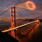 sfgiants024 的用户个人档案