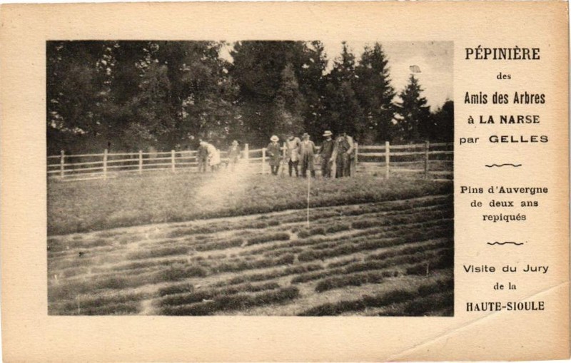 Cpa Pepiniere Des Amis Des Arbes A La Narse Par Gelles (220883)