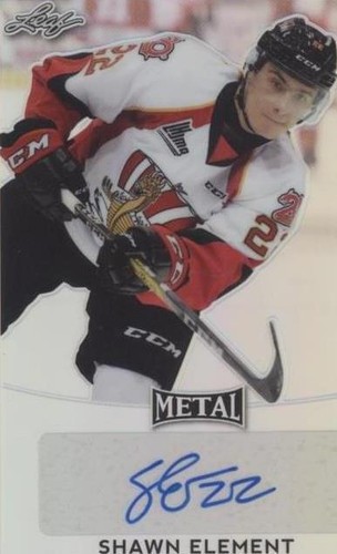 2016-17 Leaf Metal - Shawn Element #BA-SE1