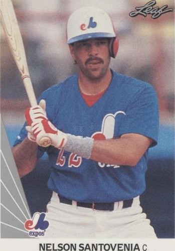 1990 Leaf - Nelson Santovenia #502