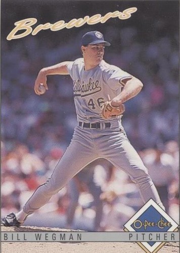 1993 O-Pee-Chee - Bill Wegman #223