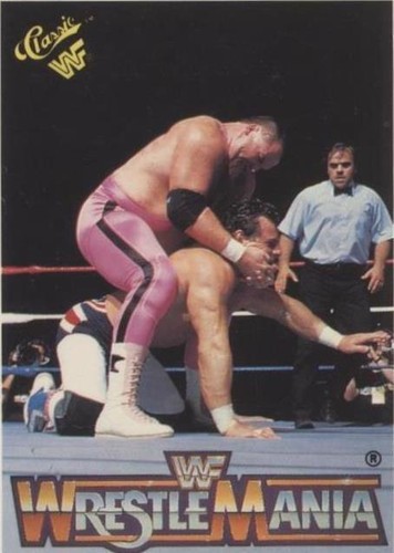 1990 Classic WWF The History of Wrestlemania - Dynamite Kid Jim Neidhart #20