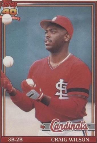 1991 O-Pee-Chee - Craig Wilson #566