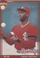 1991 O-Pee-Chee - Craig Wilson #566