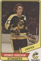 1976-77 O-Pee-Chee WHA - Dennis Sobchuk #29