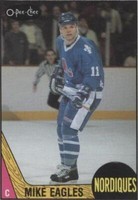 1987-88 O-Pee-Chee - Mike Eagles #253