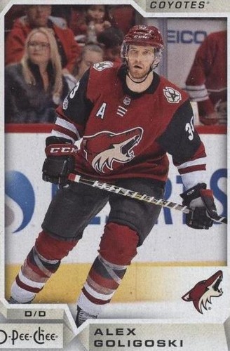 2018-19 O-Pee-Chee - Alex Goligoski #189