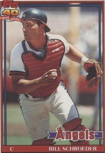 1991 O-Pee-Chee - Bill Schroeder #452
