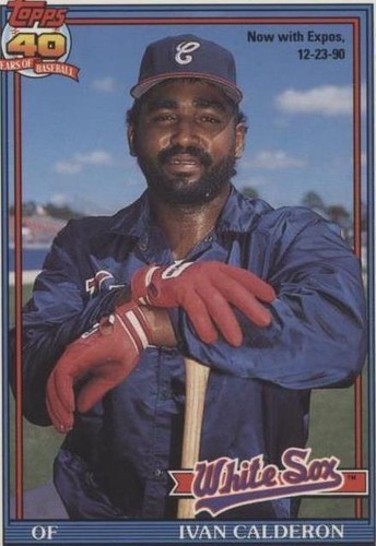 1991 O-Pee-Chee - Ivan Calderon #93