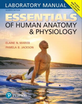 Essentials of Human Anatomy and Physiology Laboratory Manual Spir