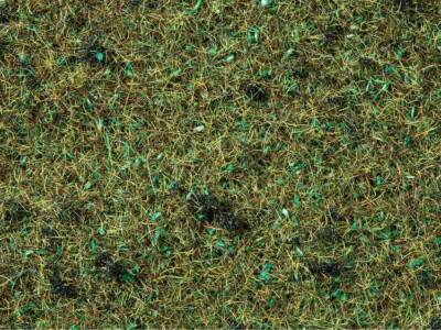 NOCH Scatter Grass ''Forest Floor'' (2.5mm, 20g)