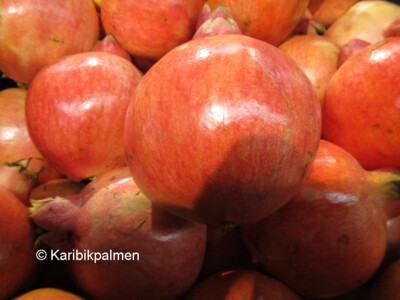 30x Türkische Riesen Granatapfel Samen - Punica Granatum, Für Garten & Terrasse, Pflegeleicht & Sonnenliebend