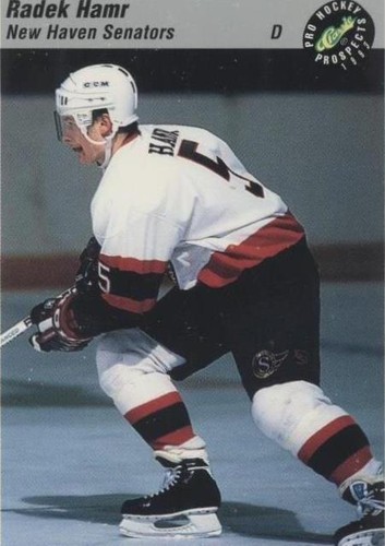 1993 Classic Pro Hockey Prospects - Radek Hamr #142