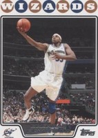2008-09 Topps - Brendan Haywood #162