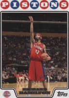 2008-09 Topps - Richard Hamilton #132