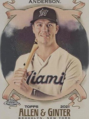 2021 Topps Allen & Ginter Chrome - Brian Anderson #199