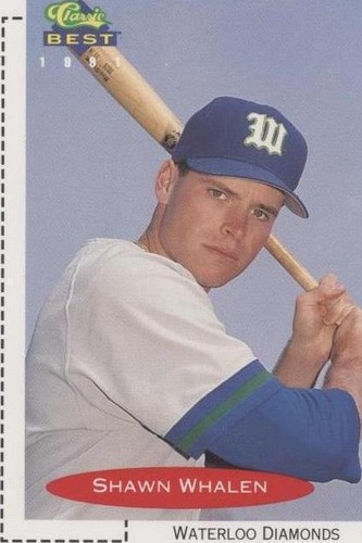 1991 Classic Best Minor League - Shawn Whalen #337