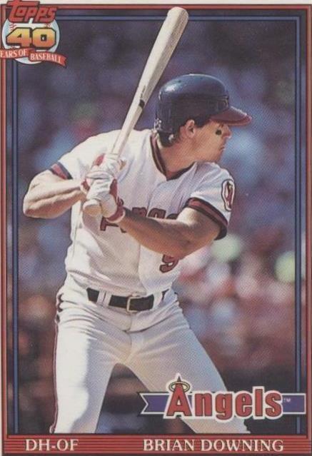 1991 O-Pee-Chee - Brian Downing #255