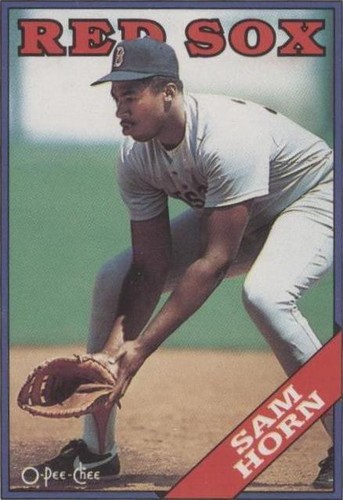 1988 O-Pee-Chee - Sam Horn #377