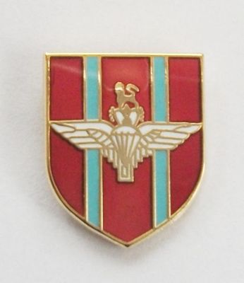 PARACHUTE REGIMENT SHIELD LAPEL PIN OR WALKING STICK MOUNT