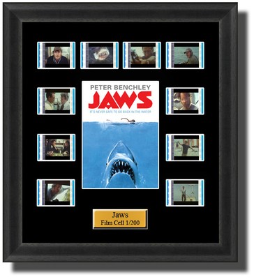 Film Cells Movie Memorabilia Lilo Stitch Disney 35mm Movie Film Cell Display 8x10 Presentation