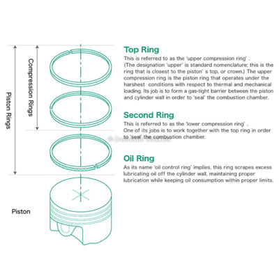Piston Rings Main Rod Bearings Fit 03-15 Toyota 4Runner Tacoma Tundra 4.0L 1GRFE