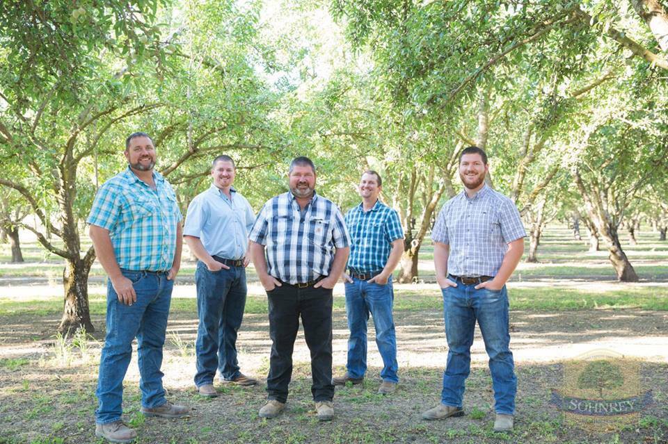 Bulk Almonds Raw Whole Natural Fresh Premium Steam Pasteurized 3 pounds - 15 lbs