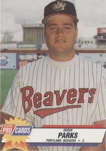 1993 Fleer ProCards AAA All-Star Game - Derek Parks #AAA-47