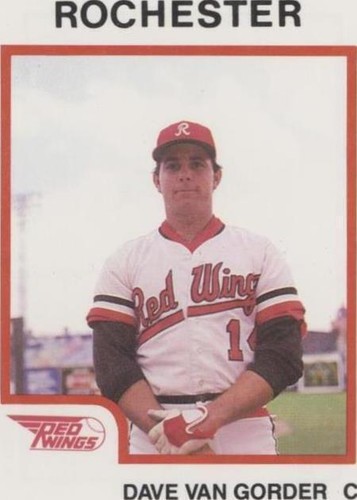 1987 ProCards Minor League - Dave Van Gorder #1902