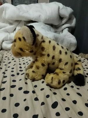 Objectfoto('s) van geverifieerde koper